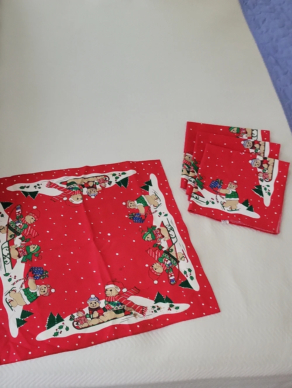 Winter Bear Tablecloth and Napkins - 54